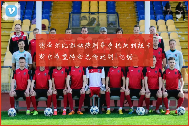 德泽尔比推动热刺争夺托纳利纽卡斯尔希望转会总价达到1亿镑