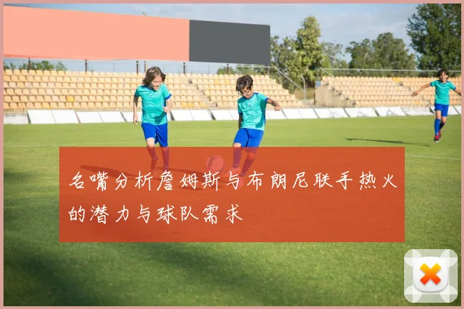名嘴分析詹姆斯与布朗尼联手热火的潜力与球队需求